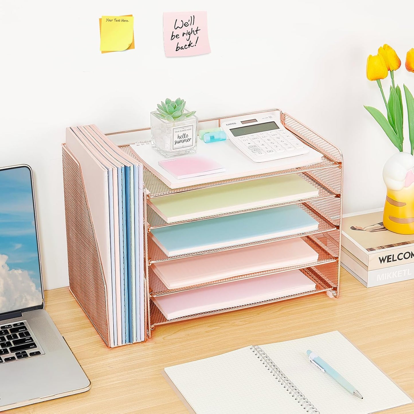 Desk Organizer, 5-Tier Paper Organizer Letter Tray with Magazine Holder, Office Desk Accessories & Workspace Organizers, Desktop File Organizer for Office Supplies Storage, Rose Gold